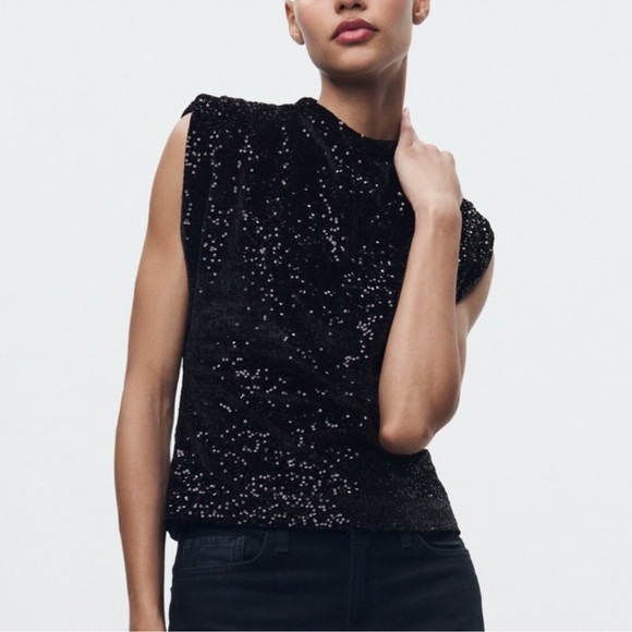 Zara | Tops | Zara Sequin Velvet Top Zw Collection | Poshmark